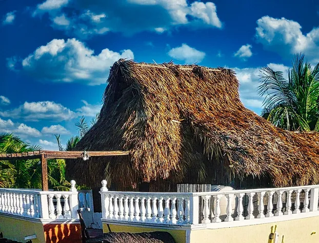 Beachfront Palapa In El Cuyo, Best Views hotel detail image 4