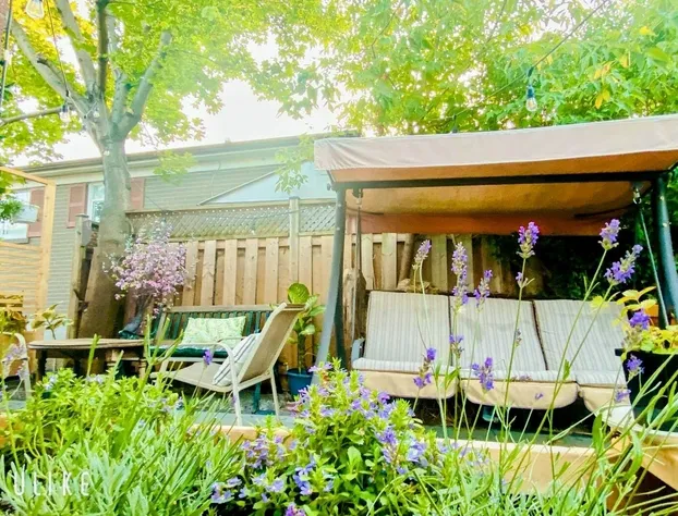 Sunrise Tree Guest House hotel detail image 1