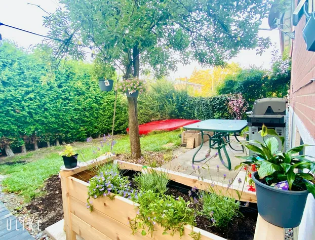 Sunrise Tree Guest House hotel detail image 4