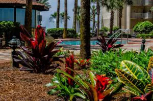 Shores of Panama Resort hotel detail image 1