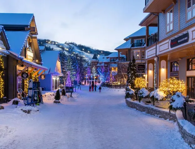 Blue Mountain Resort Inn hotel detail image 2