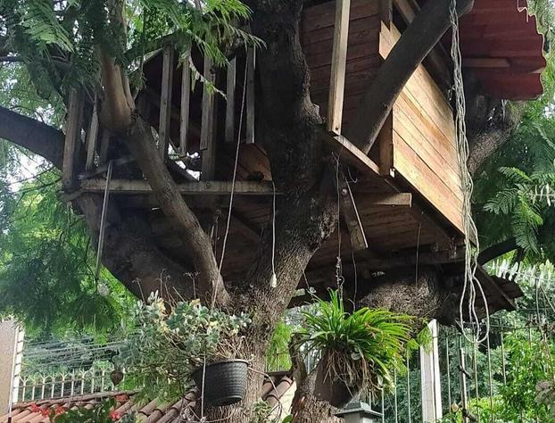 Casita del Arbol hotel detail image 1