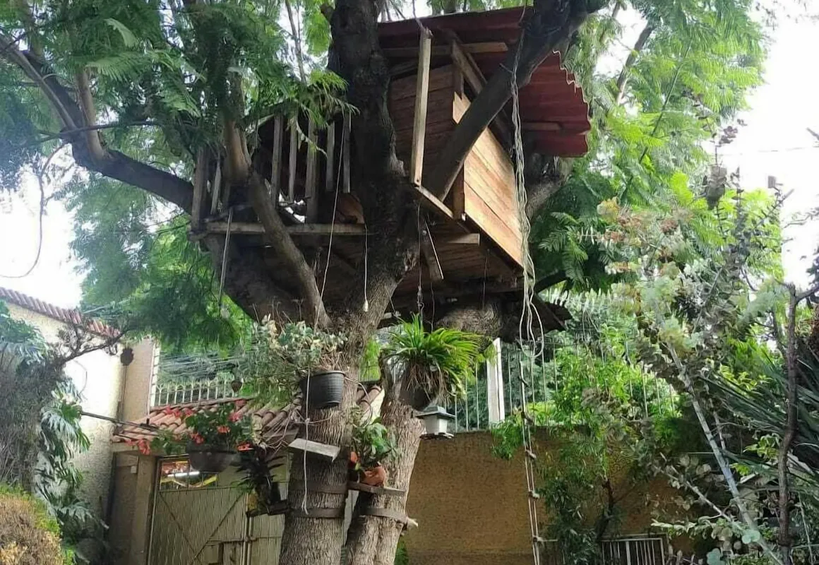 Casita del Arbol hotel hero