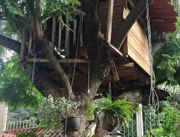 Casita del Arbol hotel detail image 1