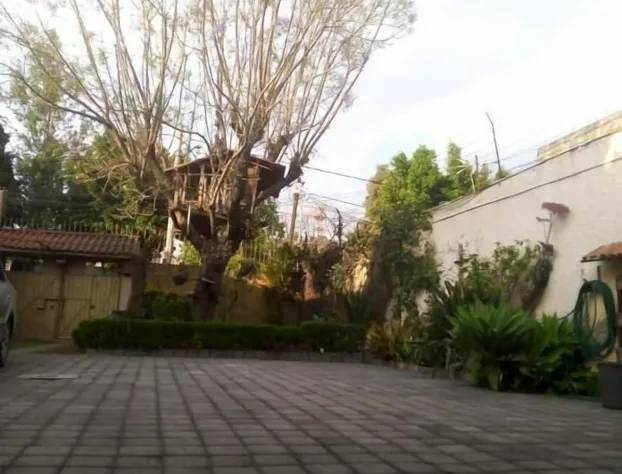 Casita del Arbol hotel detail image 3