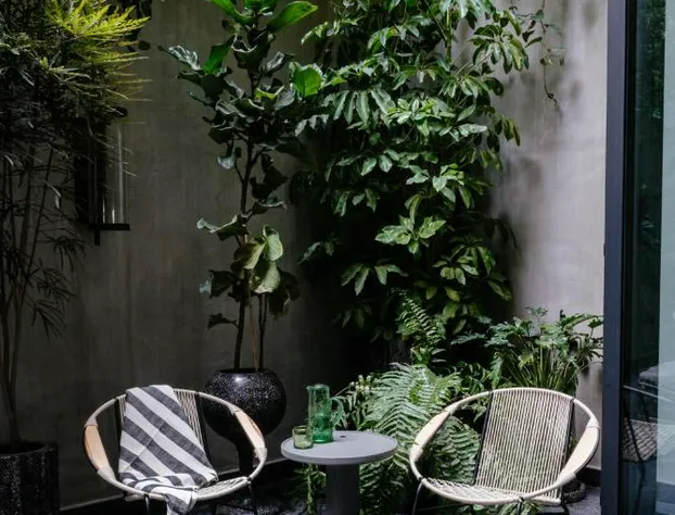 Colima 71 - Casa de Arte Hotel hotel detail image 2