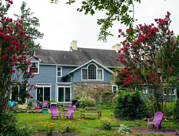 Wild Wisteria hotel detail image 4