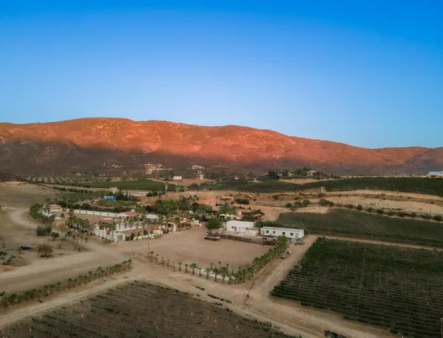 Surya Hotel hotel detail image 4