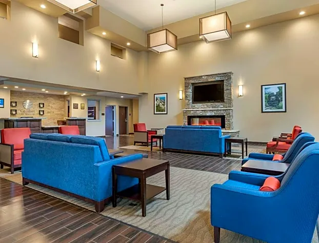 Comfort Inn & Suites Near Mt. Rushmore hotel detail image 2