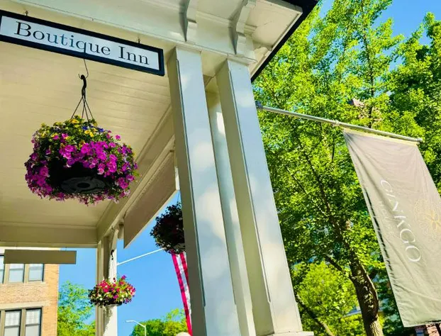 Ginkgo House on Harvard hotel detail image 3