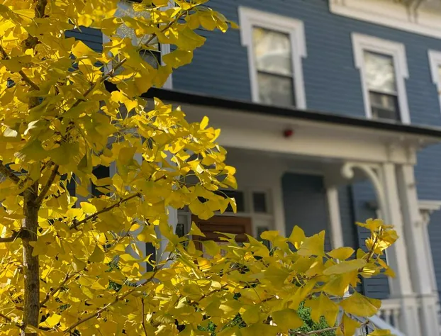 Ginkgo House on Harvard hotel detail image 4