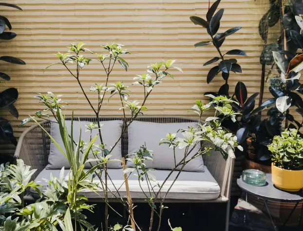 Casa Pani hotel detail image 4