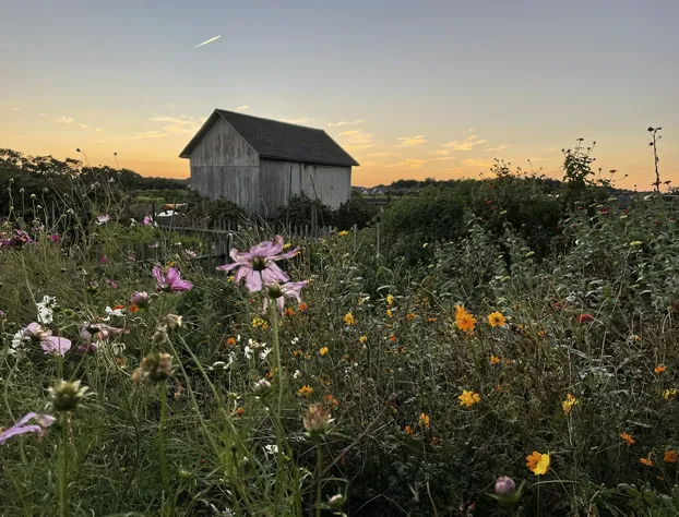 The Farmhouse Bed and Breakfast hotel detail image 2