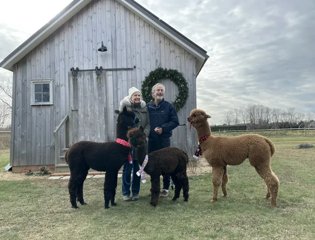 The Farmhouse Bed and Breakfast hotel detail image 3