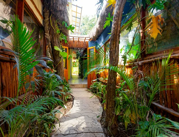 Hotel Carlitos Tulum hotel detail image 4