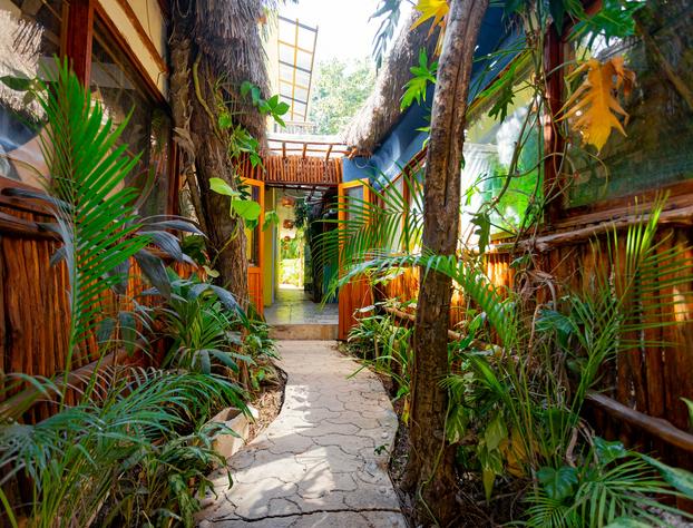 Hotel Carlitos Tulum hotel detail image 4