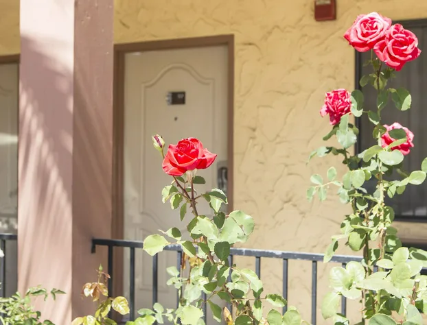 Hotel Aria hotel detail image 2