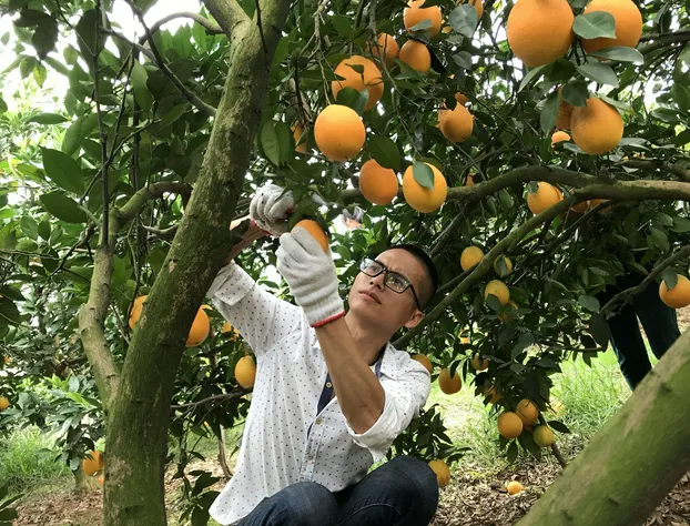 Sabre Test Property hotel detail image 4