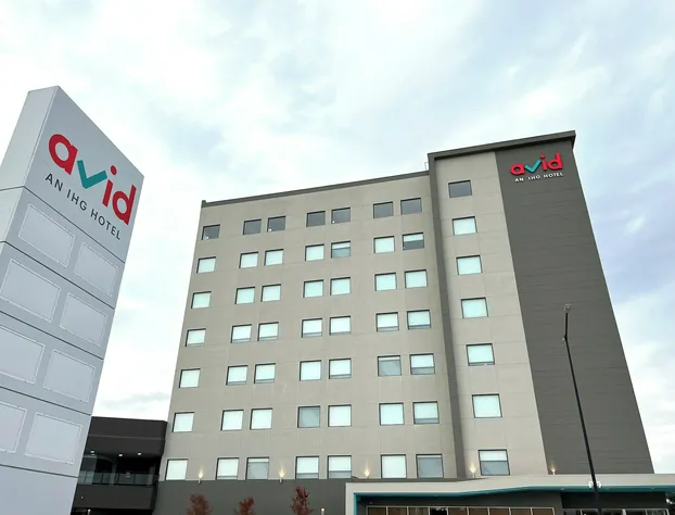 avid hotel Guadalajara Av Vallarta PTE by IHG hotel detail image 2