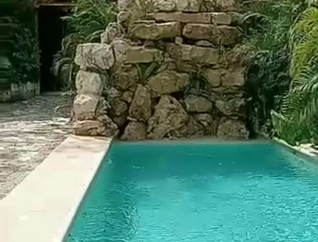 Jungle Mansion & Cuisine hotel detail image 2