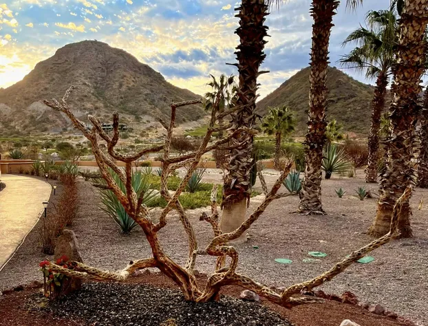The Islands of Loreto Resort and Spa hotel detail image 3
