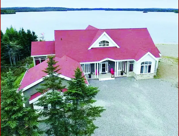 The Cozy Fox hotel detail image 1