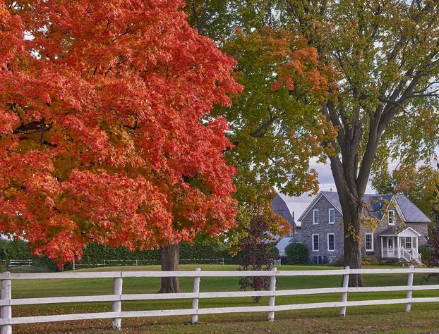 Enduring Heart Bed and Breakfast Inc. hotel detail image 2