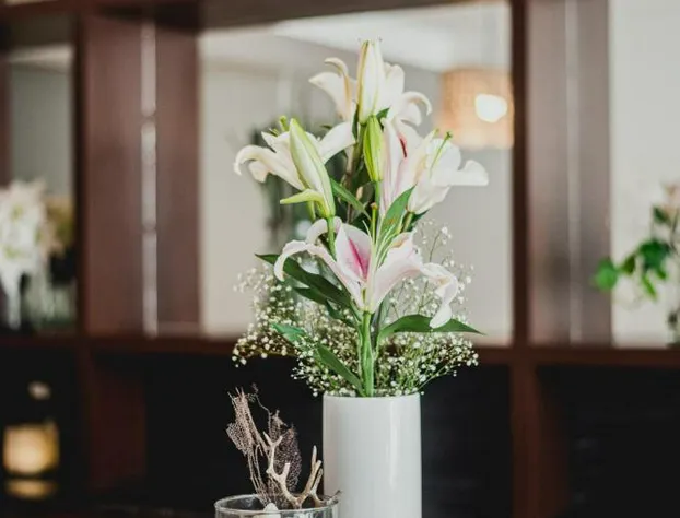 Phantom Suites hotel detail image 2