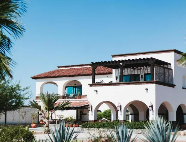 Orchid House Baja & Beach Club hotel detail image 2