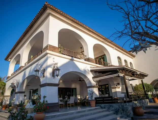 Orchid House Baja & Beach Club hotel detail image 3