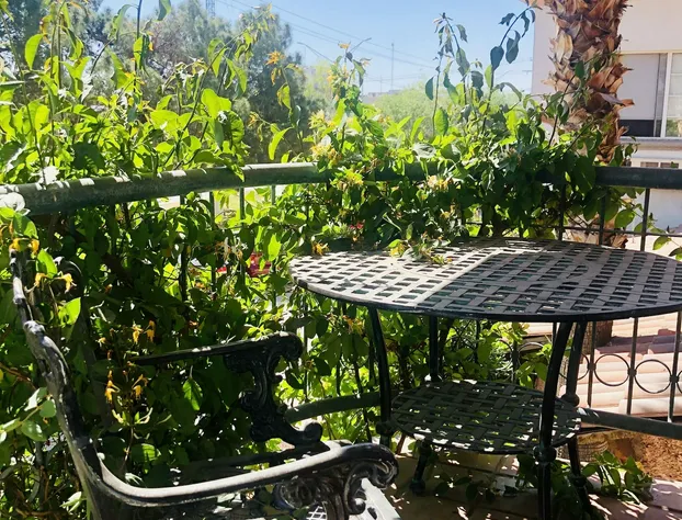 Vacation Rentals María Bonita hotel detail image 1