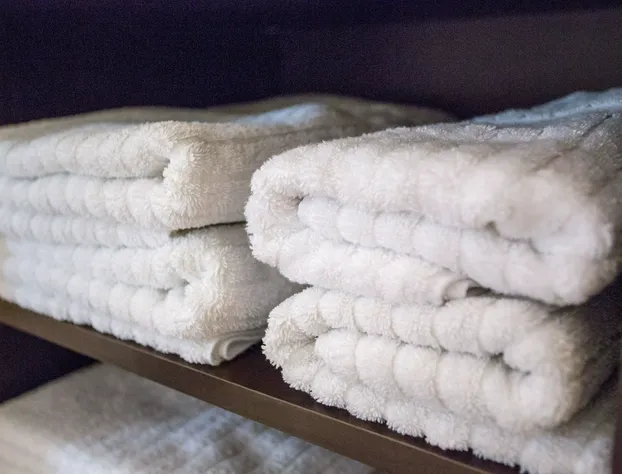 Hotel Vallea Bromont, Tapestry Collection by Hilton hotel detail image 2