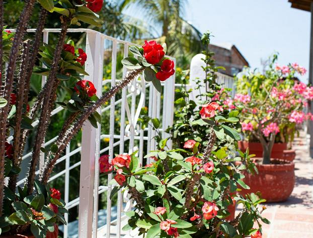 Casitas Miramar Puerto Vallarta Malecón hotel detail image 4
