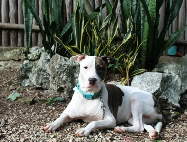 Yanay Natural Retreat & Hotel hotel detail image 1