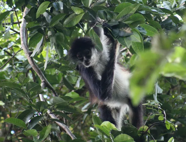 Yanay Natural Retreat & Hotel hotel detail image 2