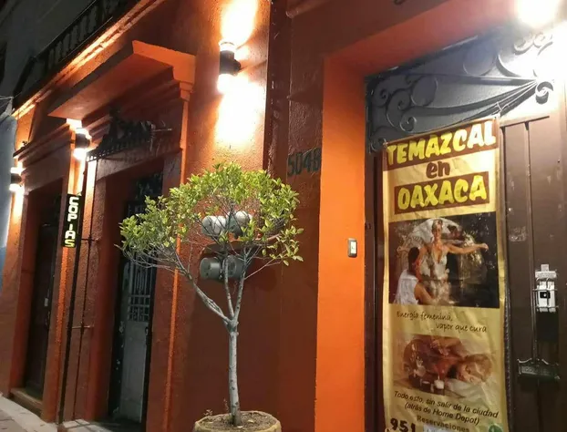 Posada Xochitl hotel detail image 2