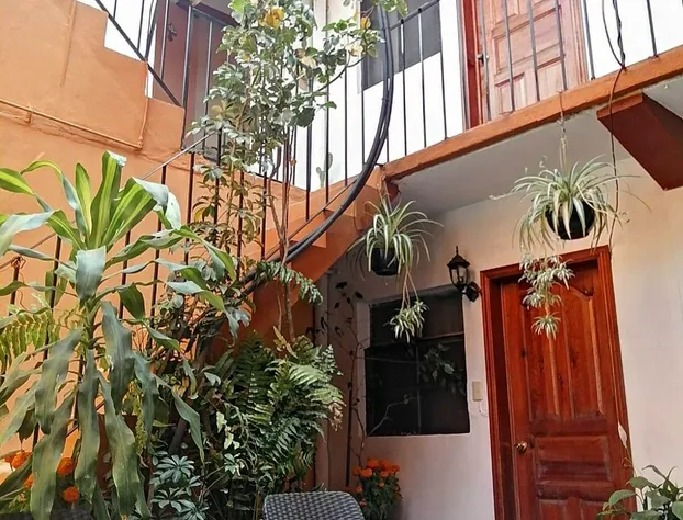 Posada Xochitl hotel detail image 3