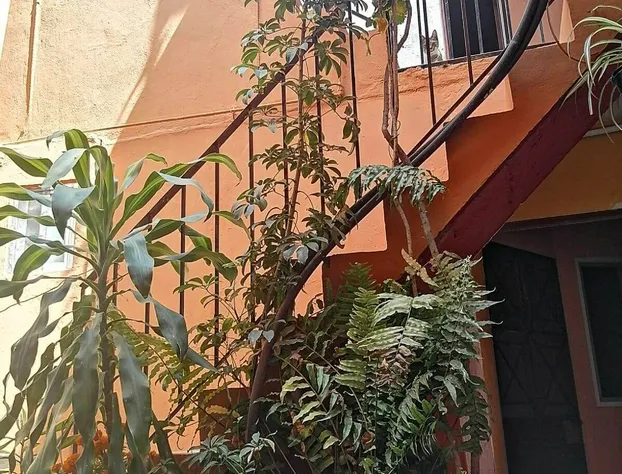 Posada Xochitl hotel detail image 4