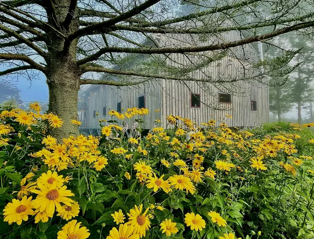 Blue Heron Farm And Retreat hotel detail image 1