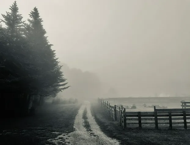 Blue Heron Farm And Retreat hotel detail image 2