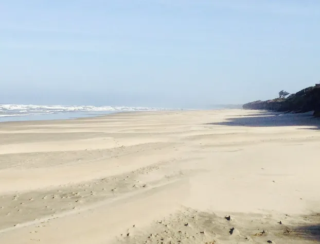 Tillicum Beach Motel (Deane's Oceanfront Lodge) hotel detail image 3