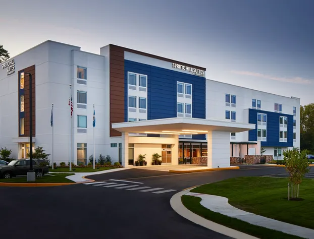 Springhill Suites By Marriott Frederica hotel detail image 1