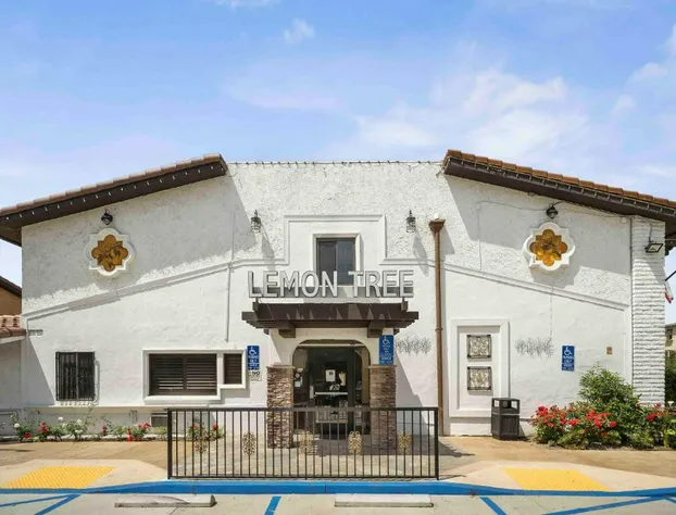 The Lemon Tree Hotel hotel detail image 3