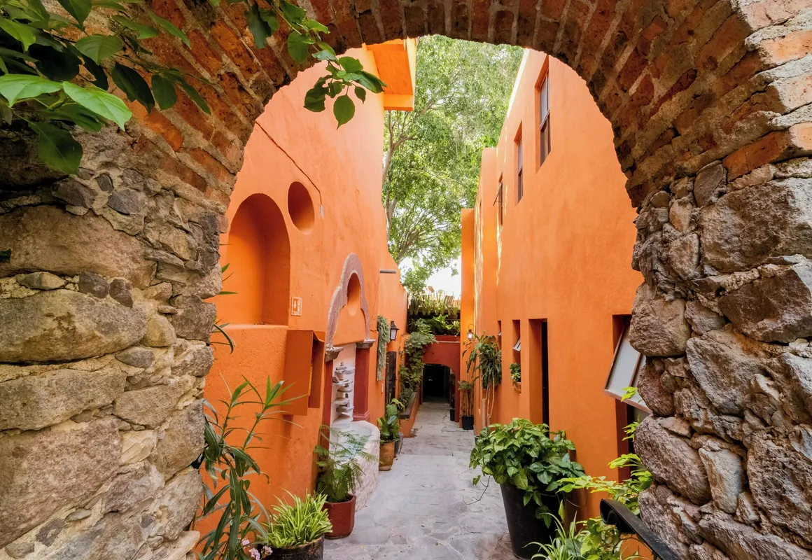 Hotel Casa Tropica hotel hero