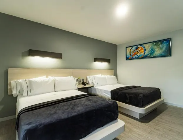 HOTEL LEMON GREEN -Zona Expo Frente al Centro de Convenciones hotel detail image 3