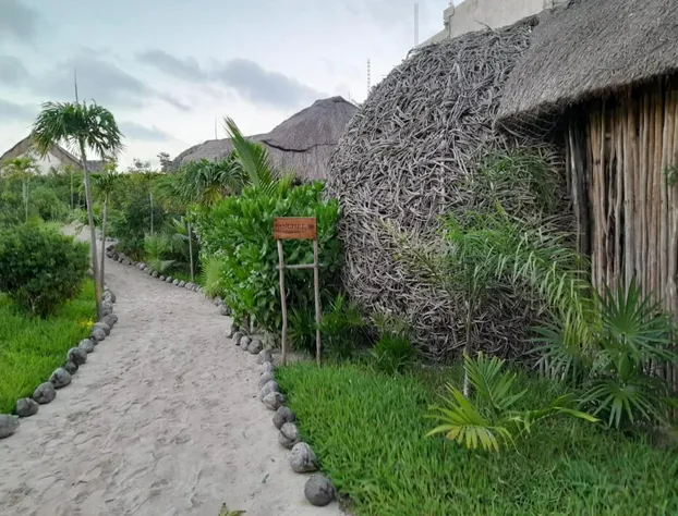 Hotel Casa Ku - Adults Only hotel detail image 4