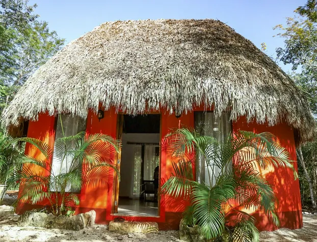 Hotel Cenote Secreto Maya hotel detail image 1