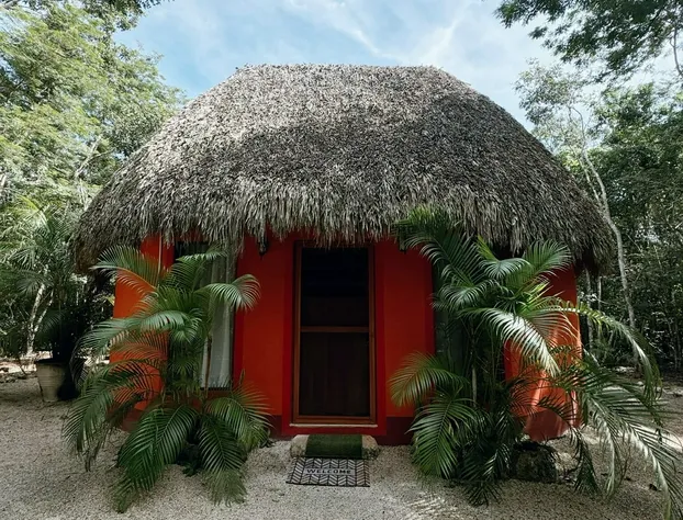 Hotel Cenote Secreto Maya hotel detail image 2