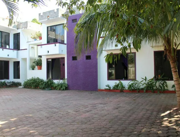 Hotel Palmarito hotel detail image 3