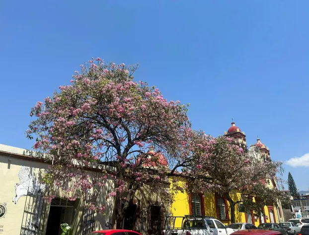 Casa California hotel detail image 1